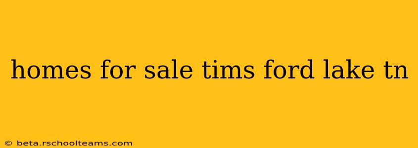 homes for sale tims ford lake tn