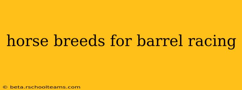 horse breeds for barrel racing