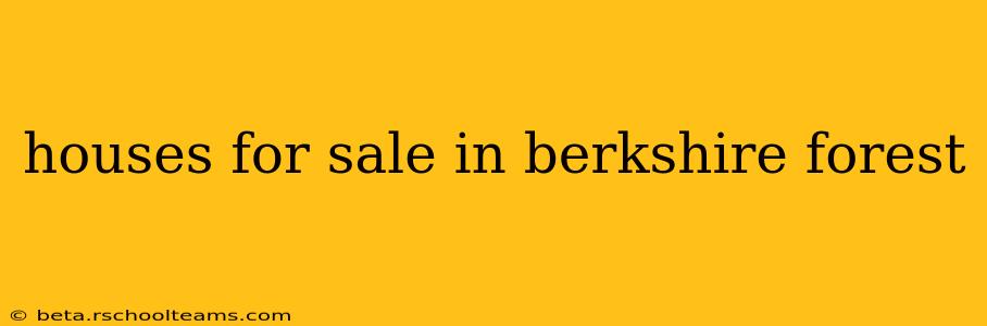 houses for sale in berkshire forest