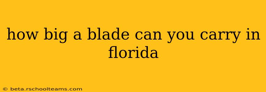 how big a blade can you carry in florida