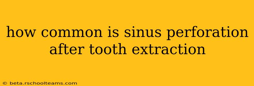 how common is sinus perforation after tooth extraction