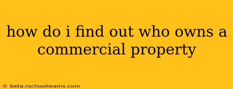 how do i find out who owns a commercial property