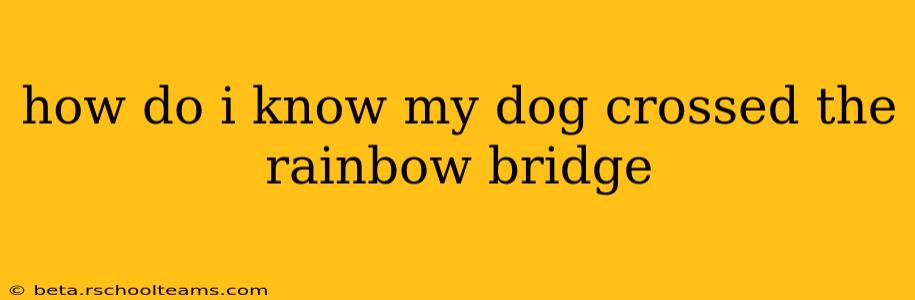 how do i know my dog crossed the rainbow bridge