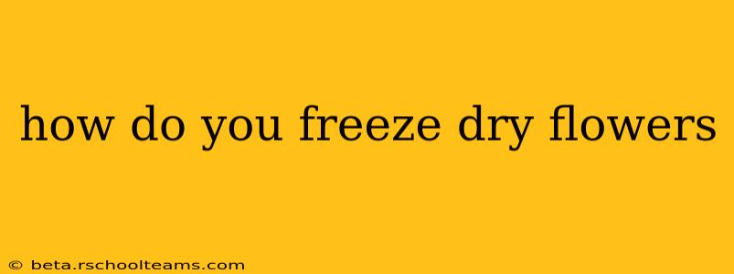 how do you freeze dry flowers