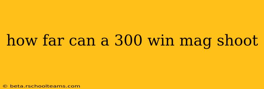 how far can a 300 win mag shoot