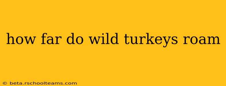how far do wild turkeys roam