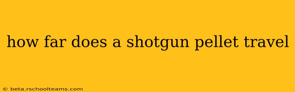 how far does a shotgun pellet travel