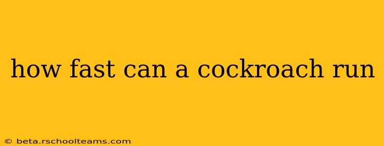 how fast can a cockroach run