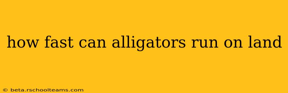 how fast can alligators run on land