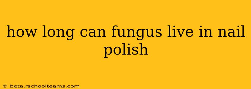 how long can fungus live in nail polish