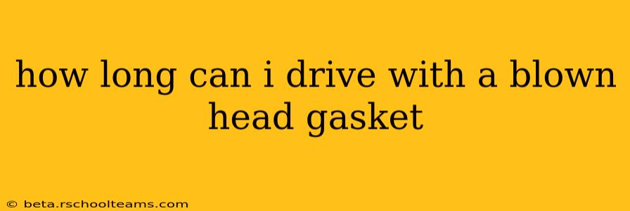 how long can i drive with a blown head gasket