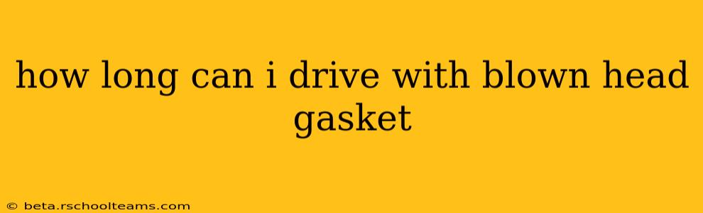 how long can i drive with blown head gasket