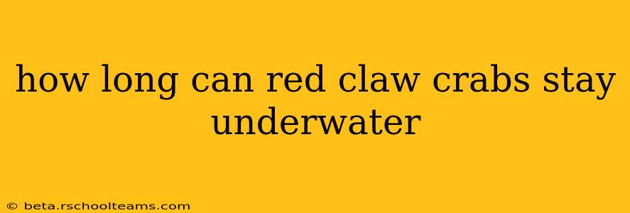 how long can red claw crabs stay underwater
