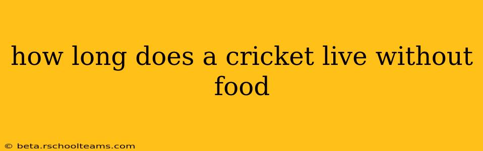 how long does a cricket live without food