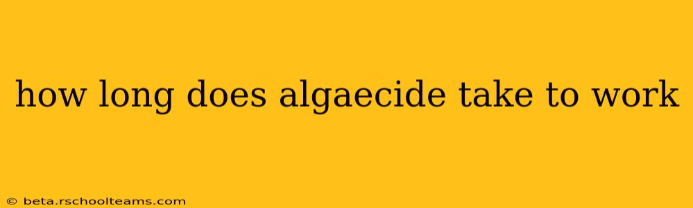 how long does algaecide take to work