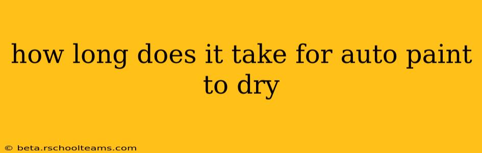 how long does it take for auto paint to dry
