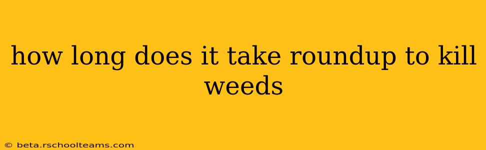 how long does it take roundup to kill weeds