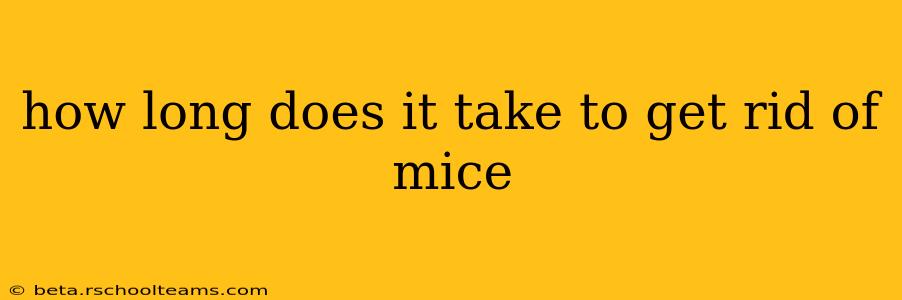how long does it take to get rid of mice