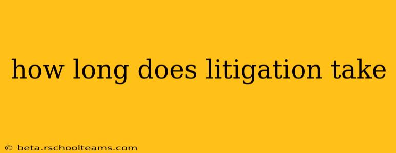 how long does litigation take