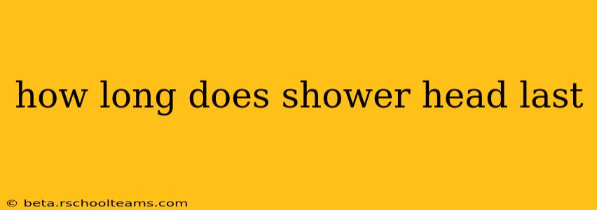 how long does shower head last