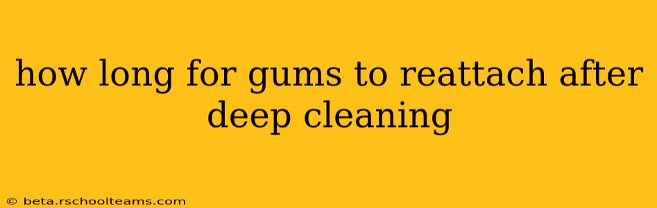 how long for gums to reattach after deep cleaning