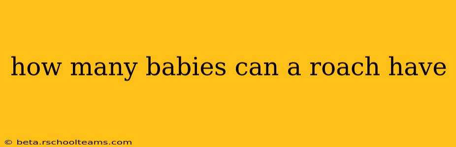 how many babies can a roach have
