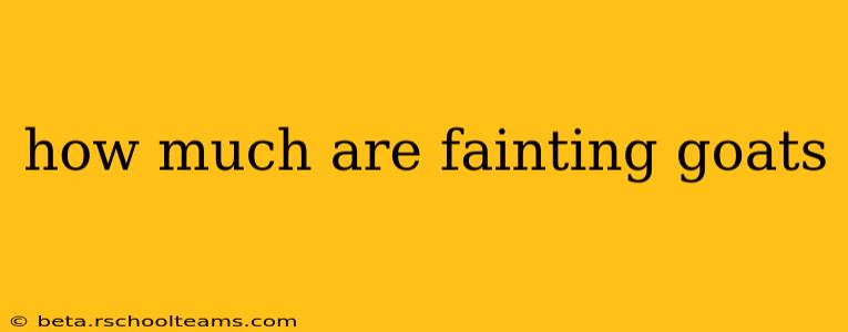 how much are fainting goats