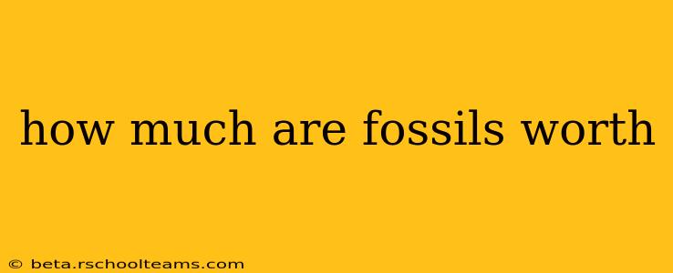 how much are fossils worth