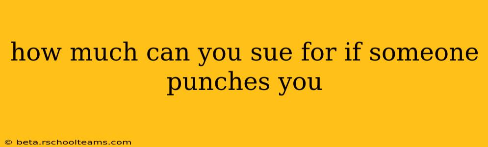 how much can you sue for if someone punches you