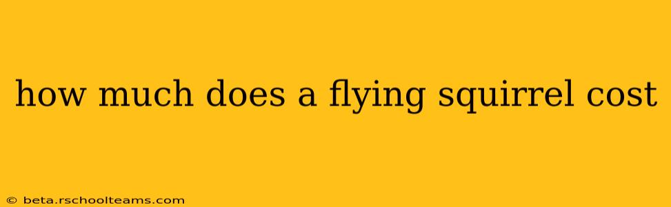how much does a flying squirrel cost