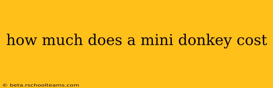 how much does a mini donkey cost