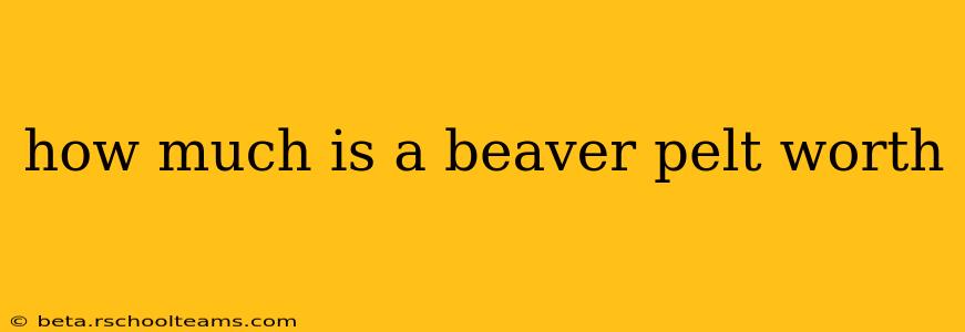 how much is a beaver pelt worth