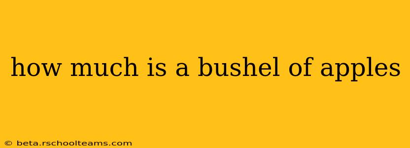 how much is a bushel of apples