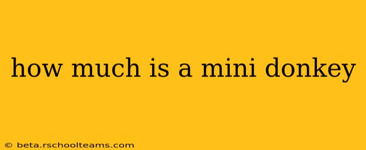 how much is a mini donkey