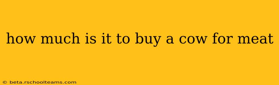 how much is it to buy a cow for meat