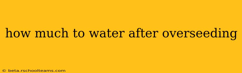 how much to water after overseeding