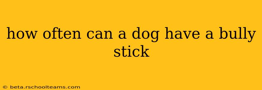 how often can a dog have a bully stick