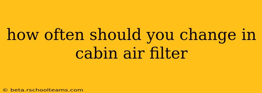 how often should you change in cabin air filter