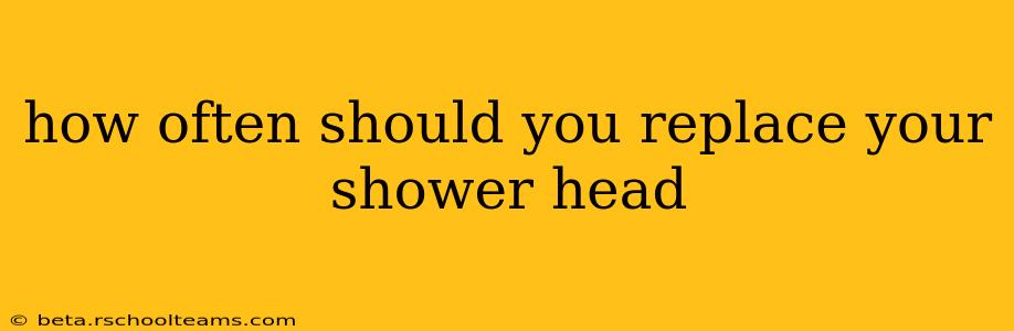 how often should you replace your shower head