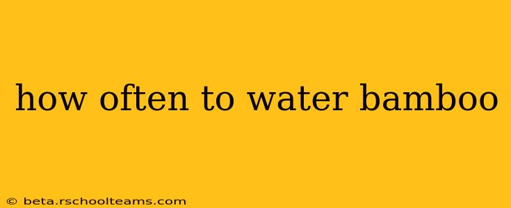 how often to water bamboo