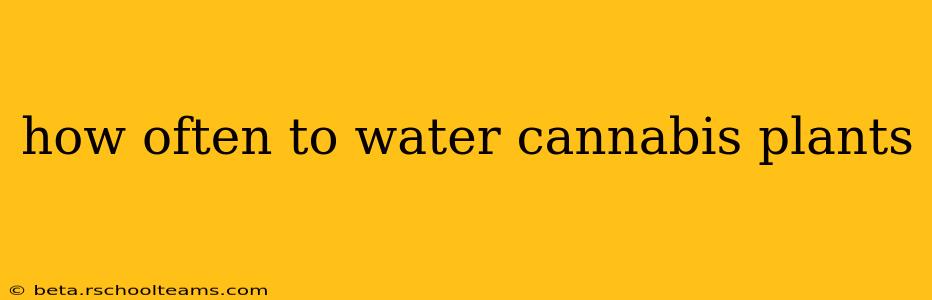how often to water cannabis plants