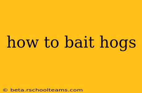 how to bait hogs