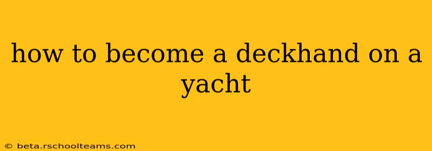 how to become a deckhand on a yacht