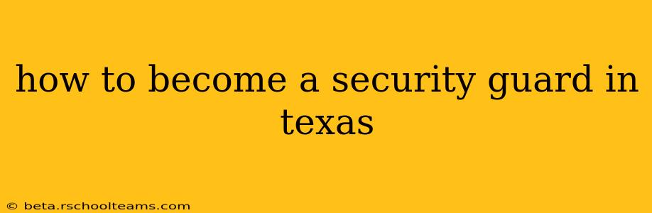 how to become a security guard in texas