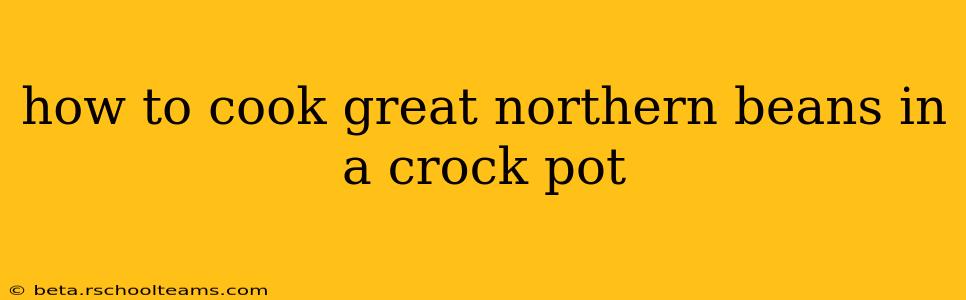 how to cook great northern beans in a crock pot