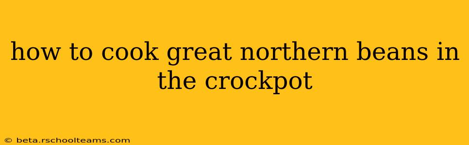 how to cook great northern beans in the crockpot