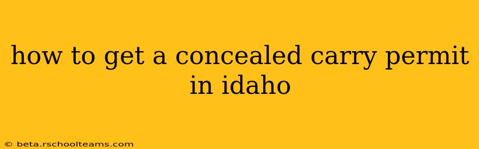 how to get a concealed carry permit in idaho