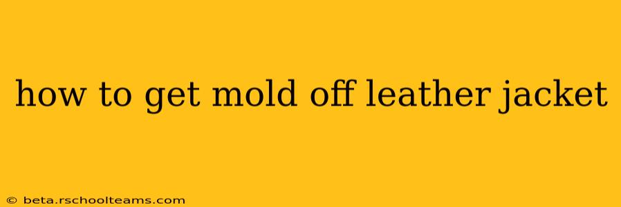 how to get mold off leather jacket