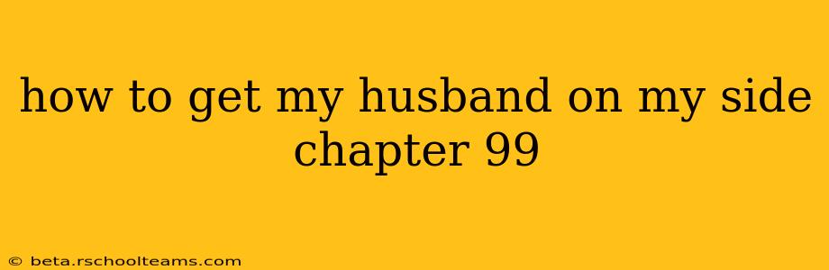 how to get my husband on my side chapter 99
