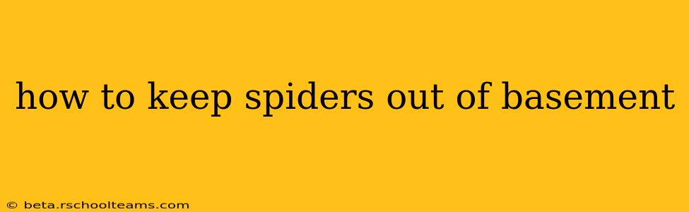 how to keep spiders out of basement